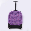 Delsey, ������� ���������, 3398650-18